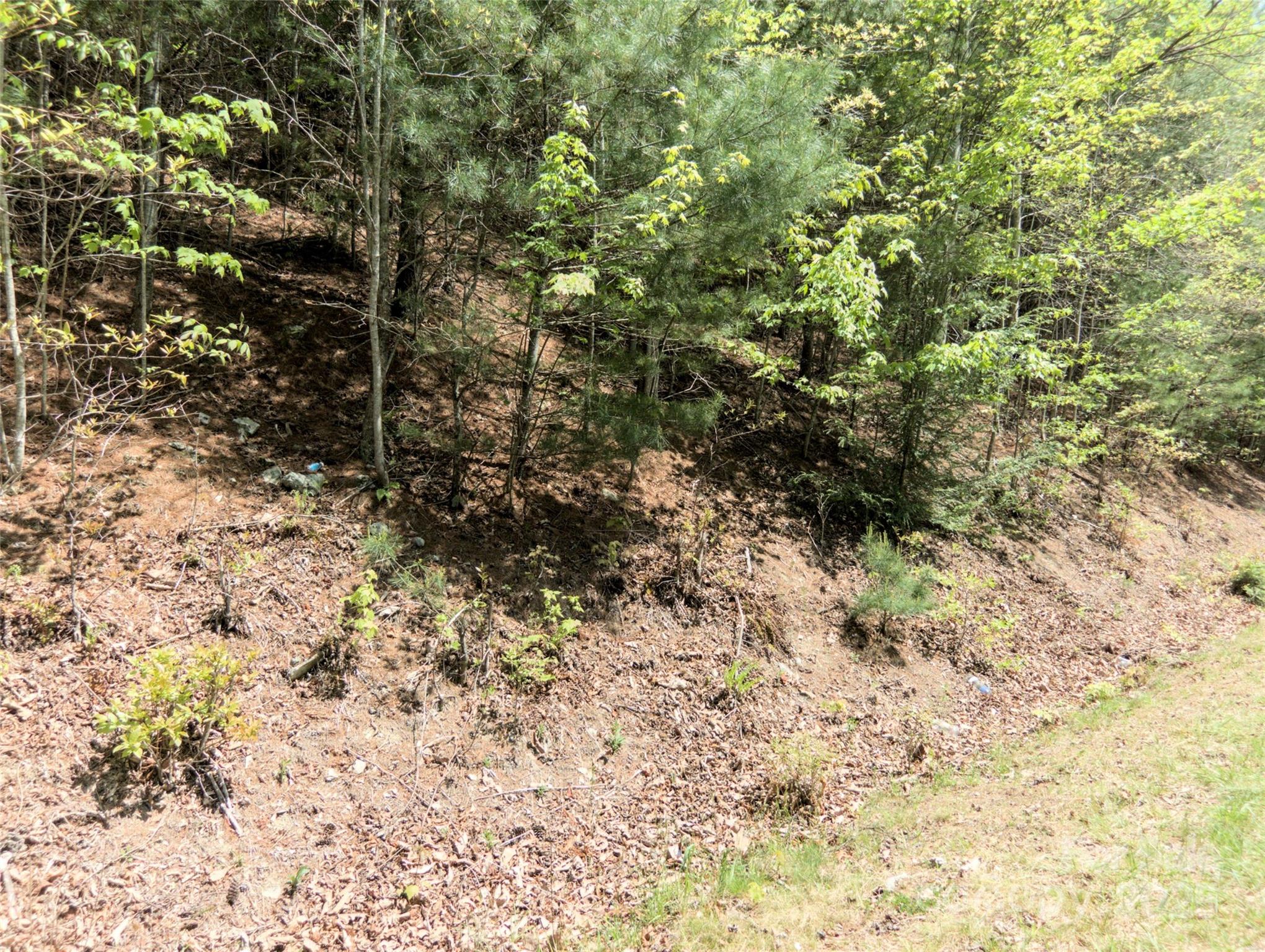 0000 Wildcat Road Property Photo 15