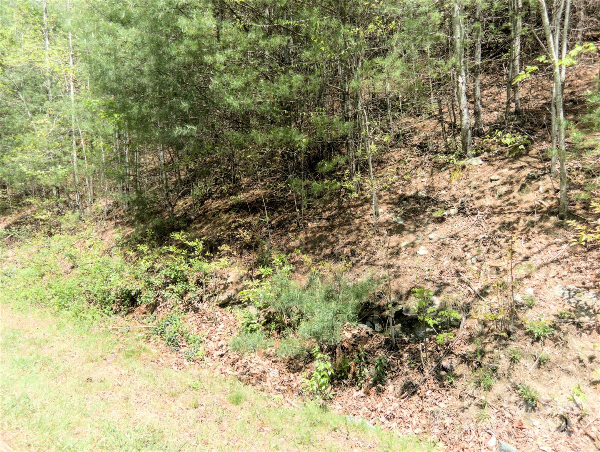 0000 Wildcat Road Property Photo 16
