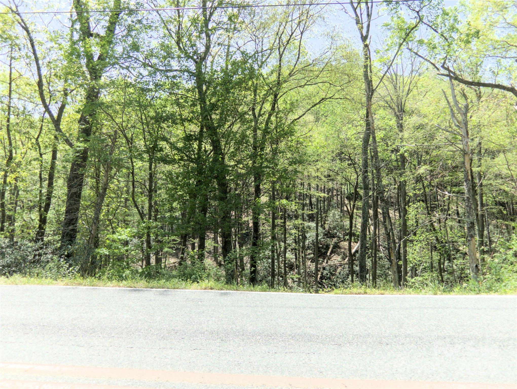 0000 Wildcat Road Property Photo 21