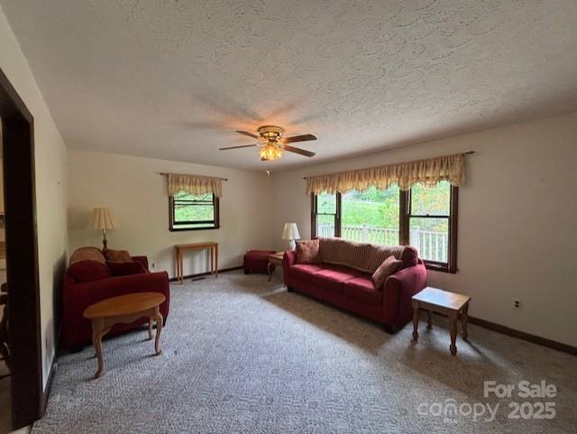 45 Old Cove Road Property Photo 30