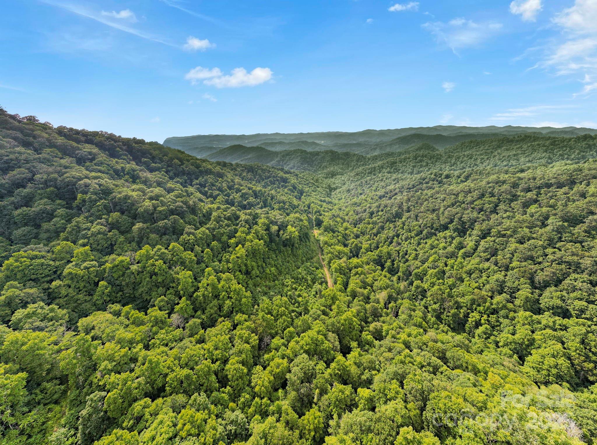 3440 Hamburg Road Property Photo 1