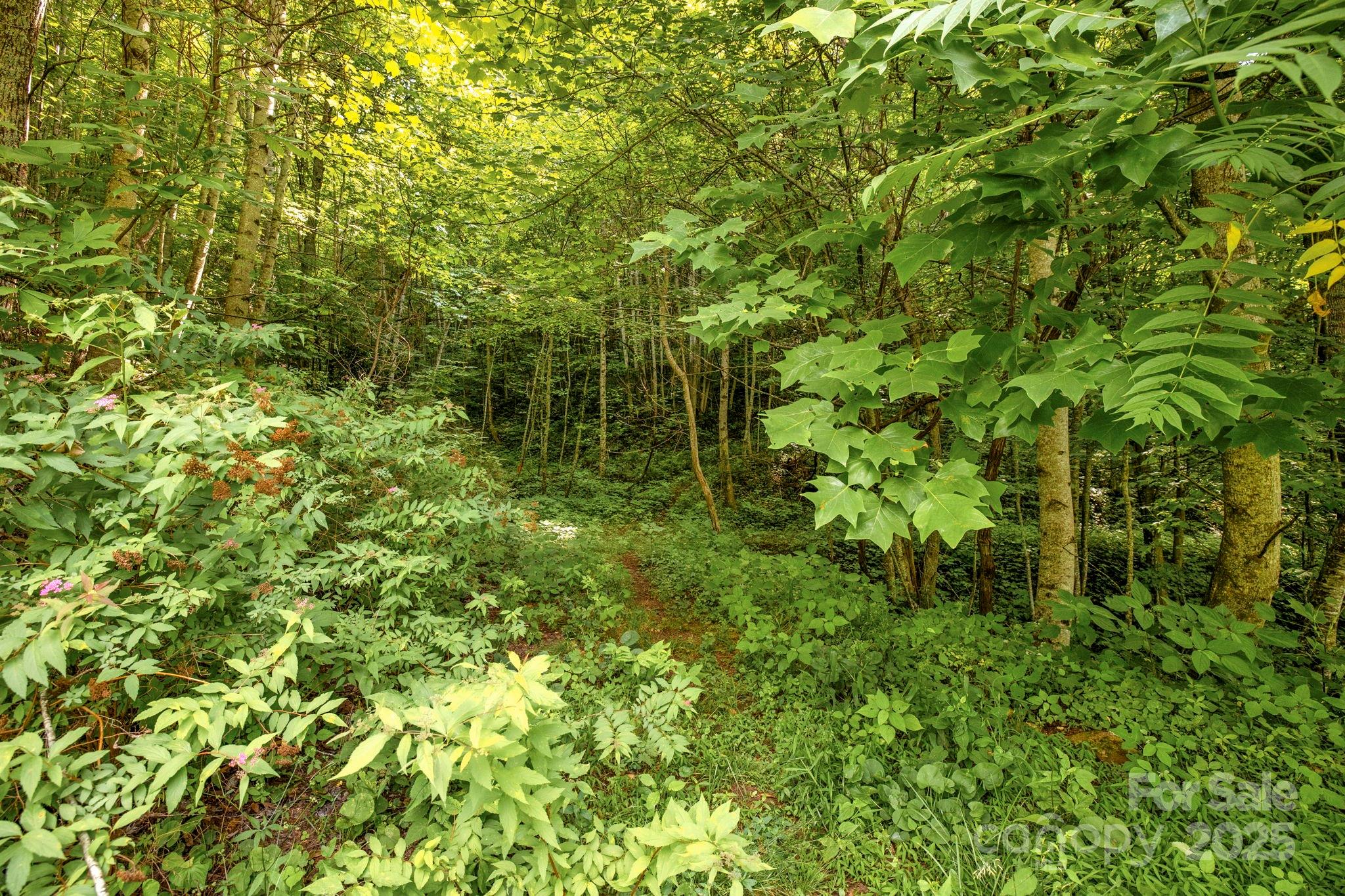 3440 Hamburg Road Property Photo 2