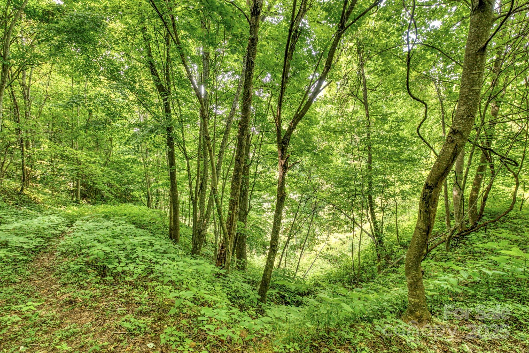 3440 Hamburg Road Property Photo 4