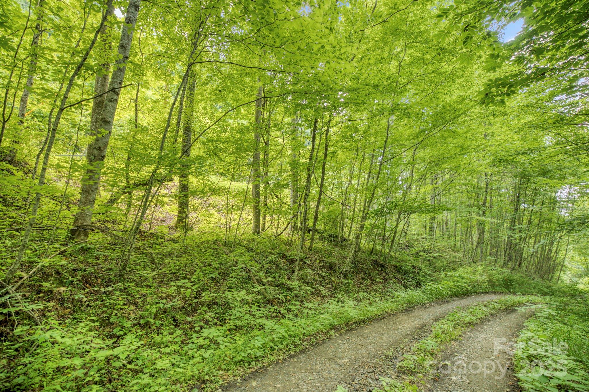3440 Hamburg Road Property Photo 5