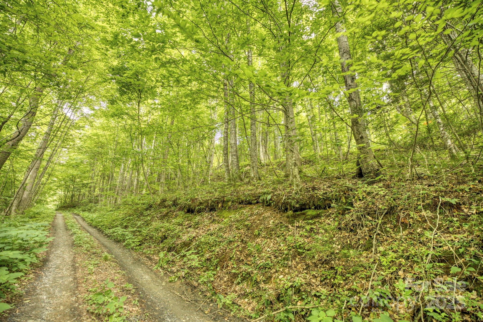 3440 Hamburg Road Property Photo 7