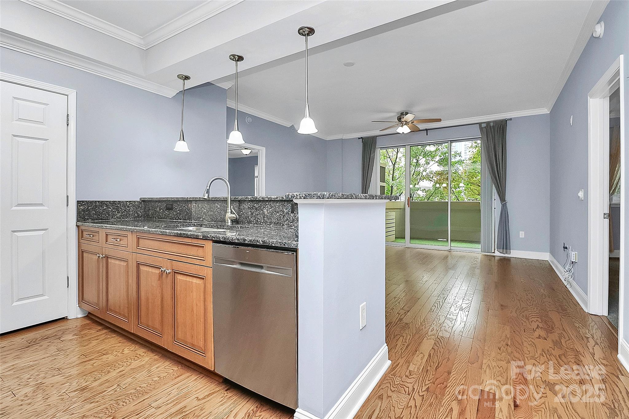 300 W 5th Street 315 Property Photo 3