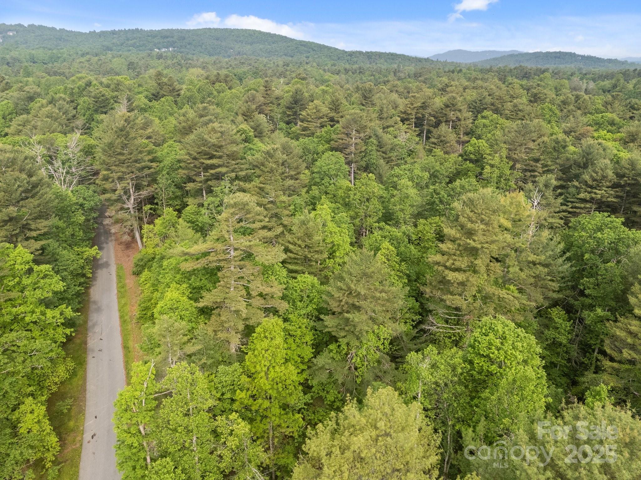 349 Red Fox Lane Property Photo 8
