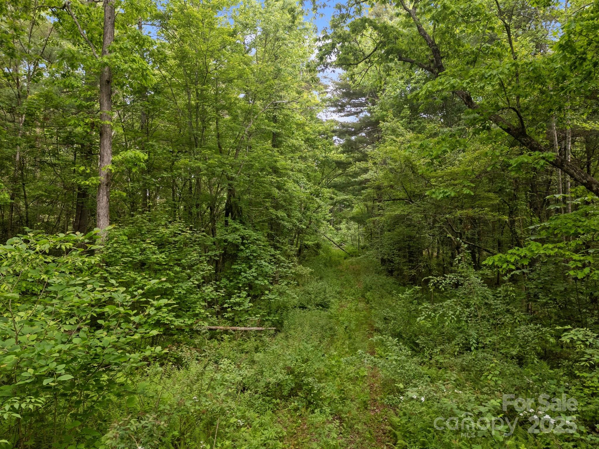 349 Red Fox Lane Property Photo 12
