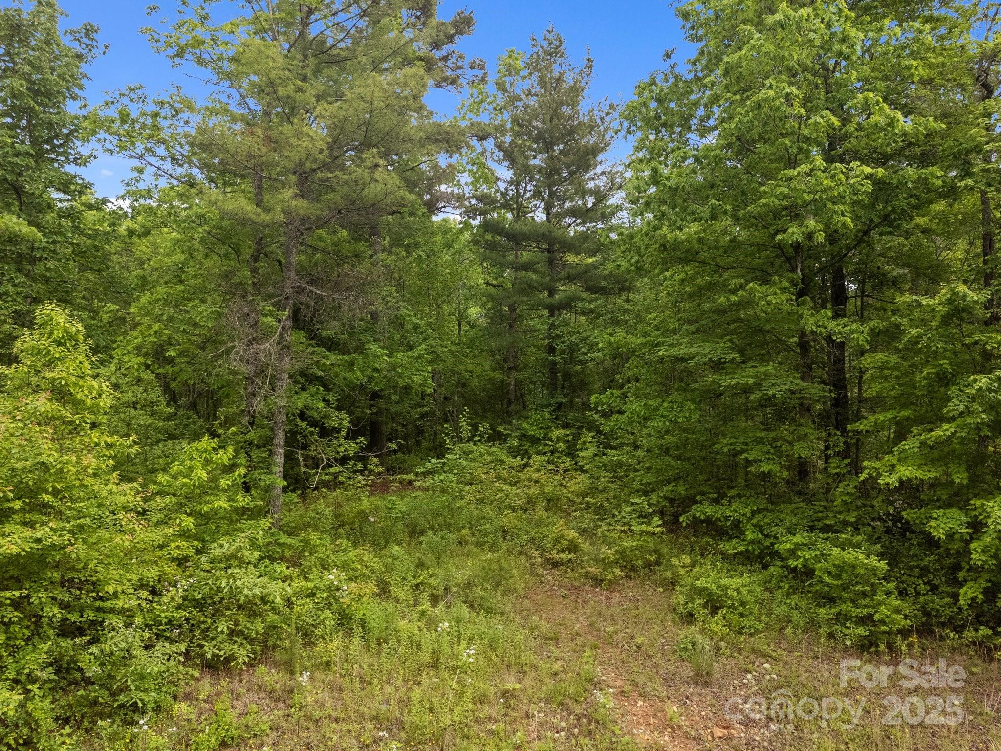 349 Red Fox Lane Property Photo 13