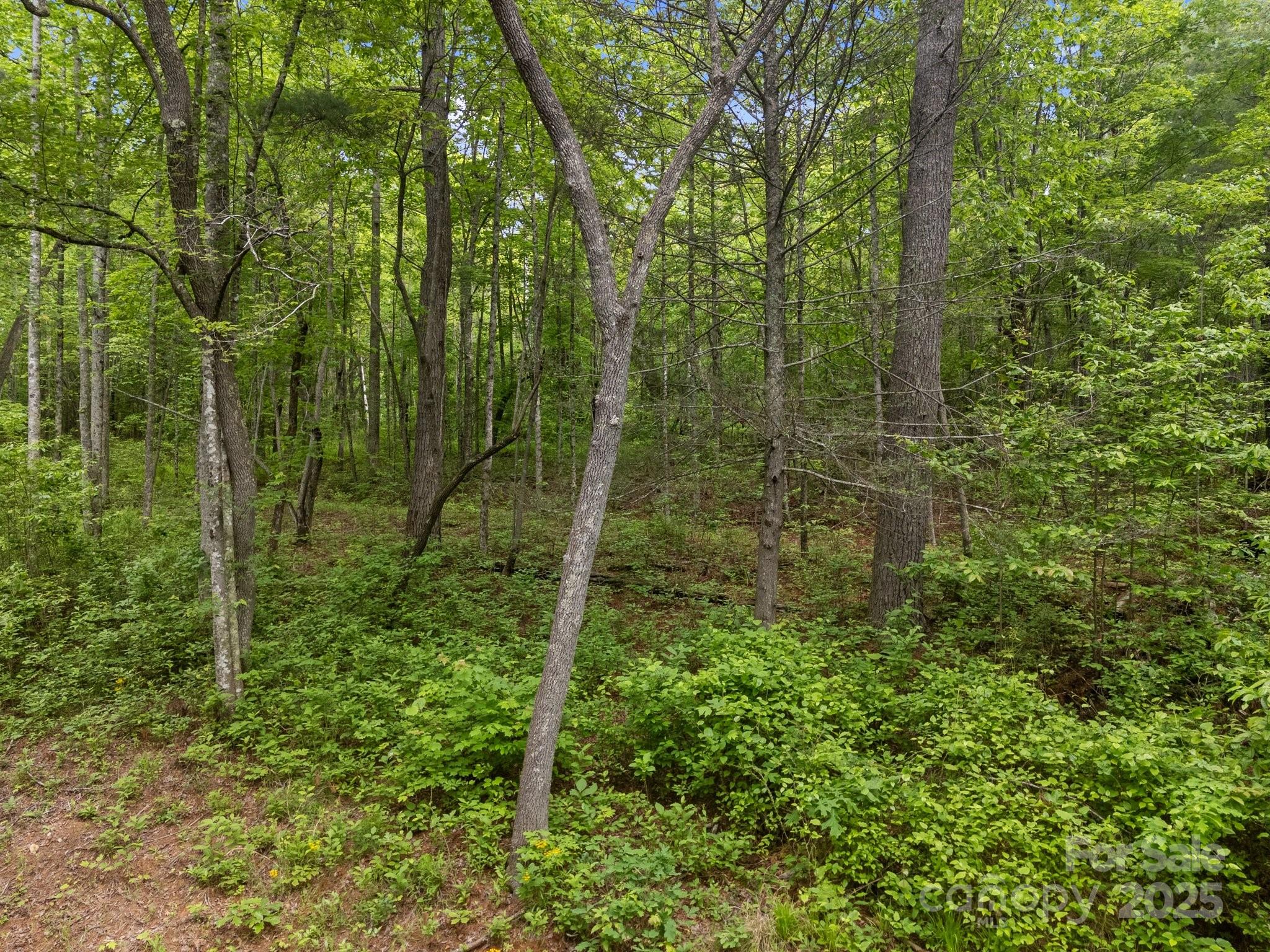 349 Red Fox Lane Property Photo 15