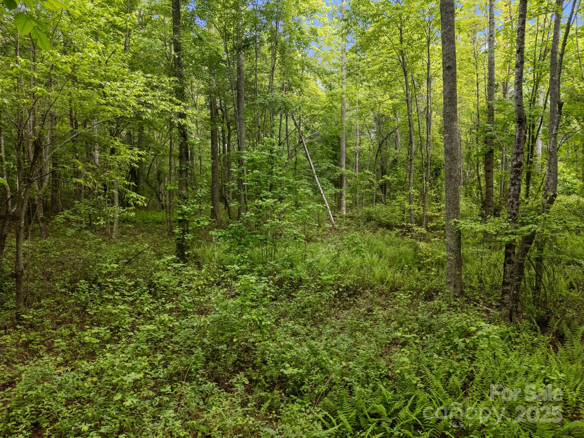 349 Red Fox Lane Property Photo 17