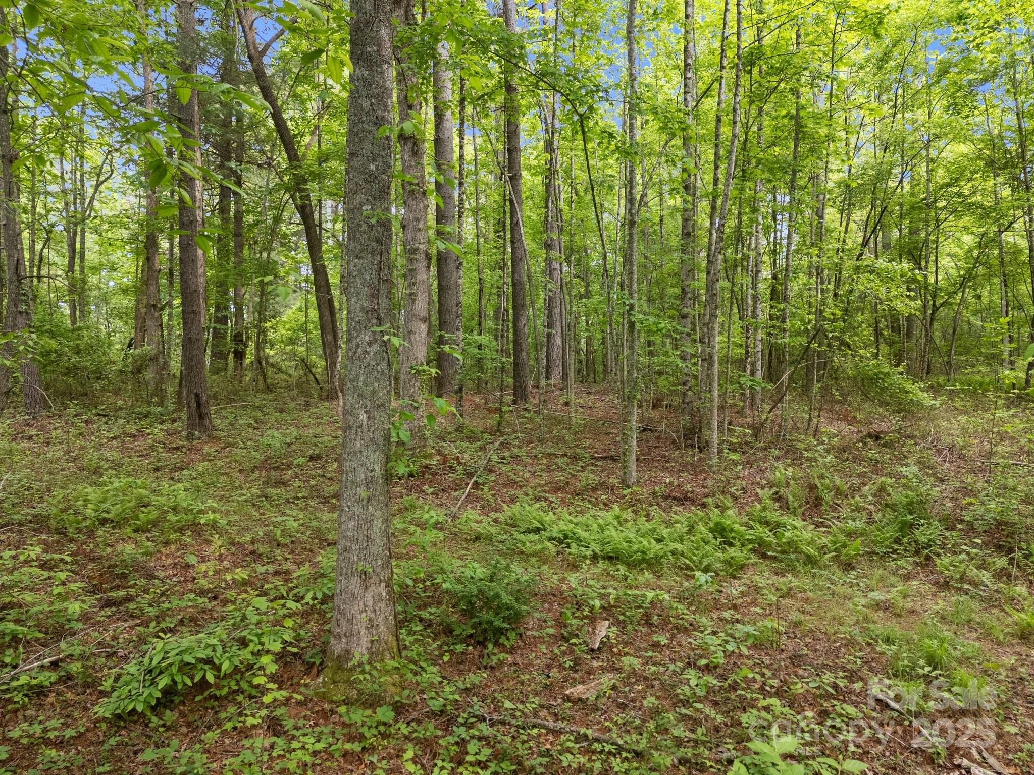 349 Red Fox Lane Property Photo 18
