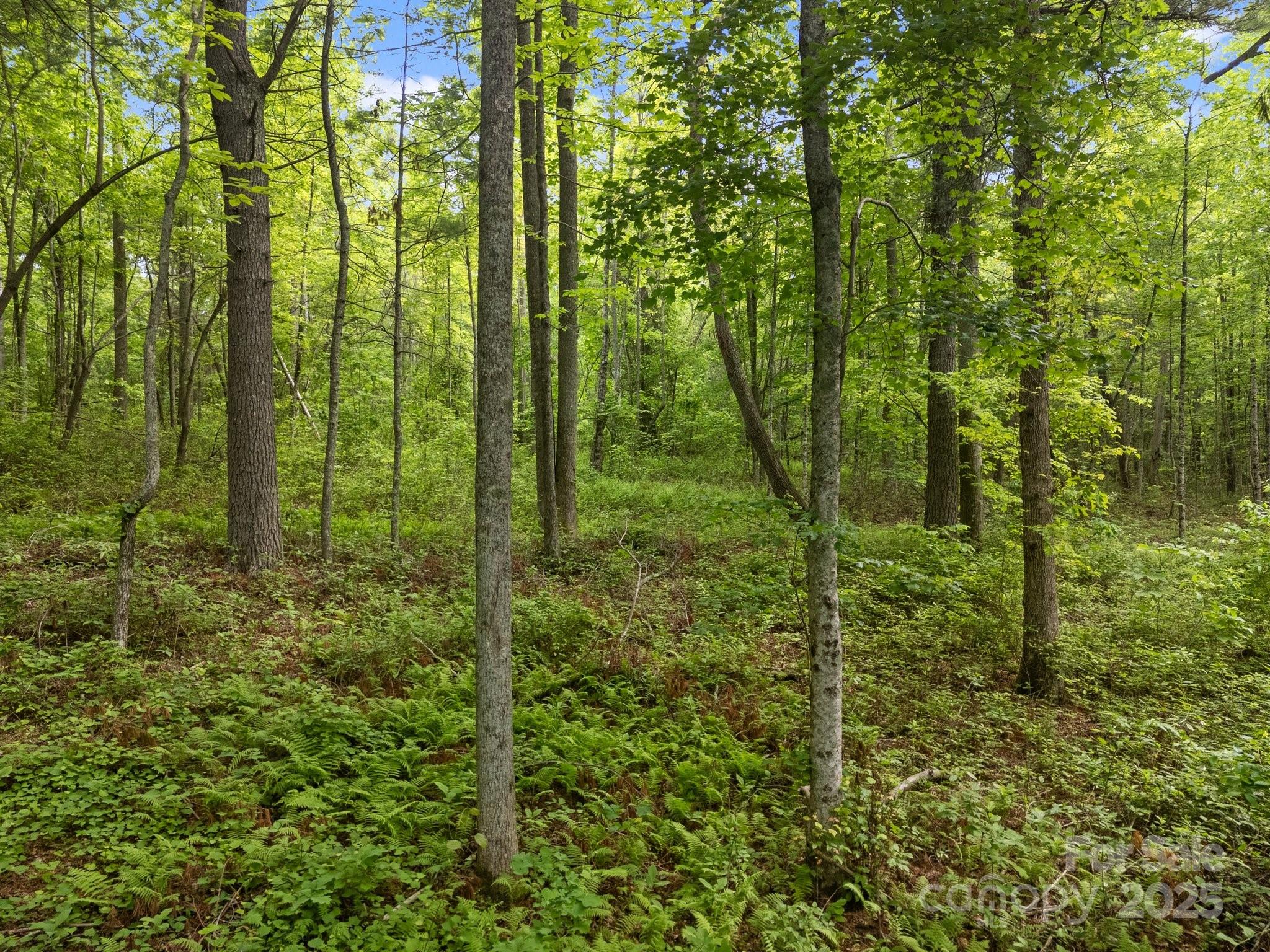 349 Red Fox Lane Property Photo 20