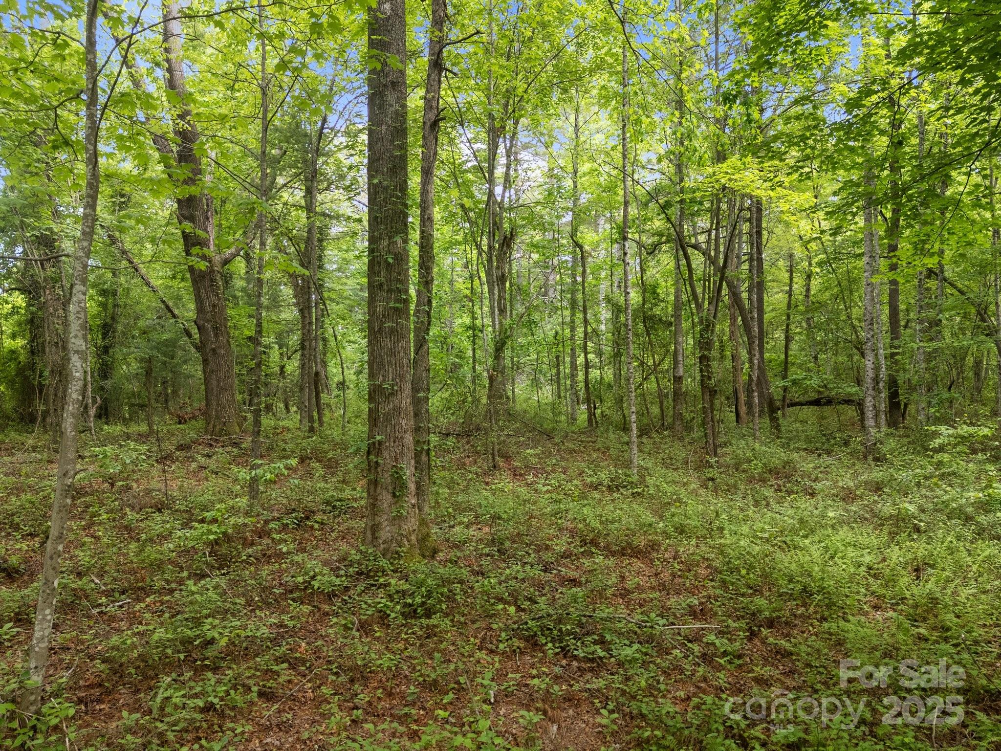 349 Red Fox Lane Property Photo 22