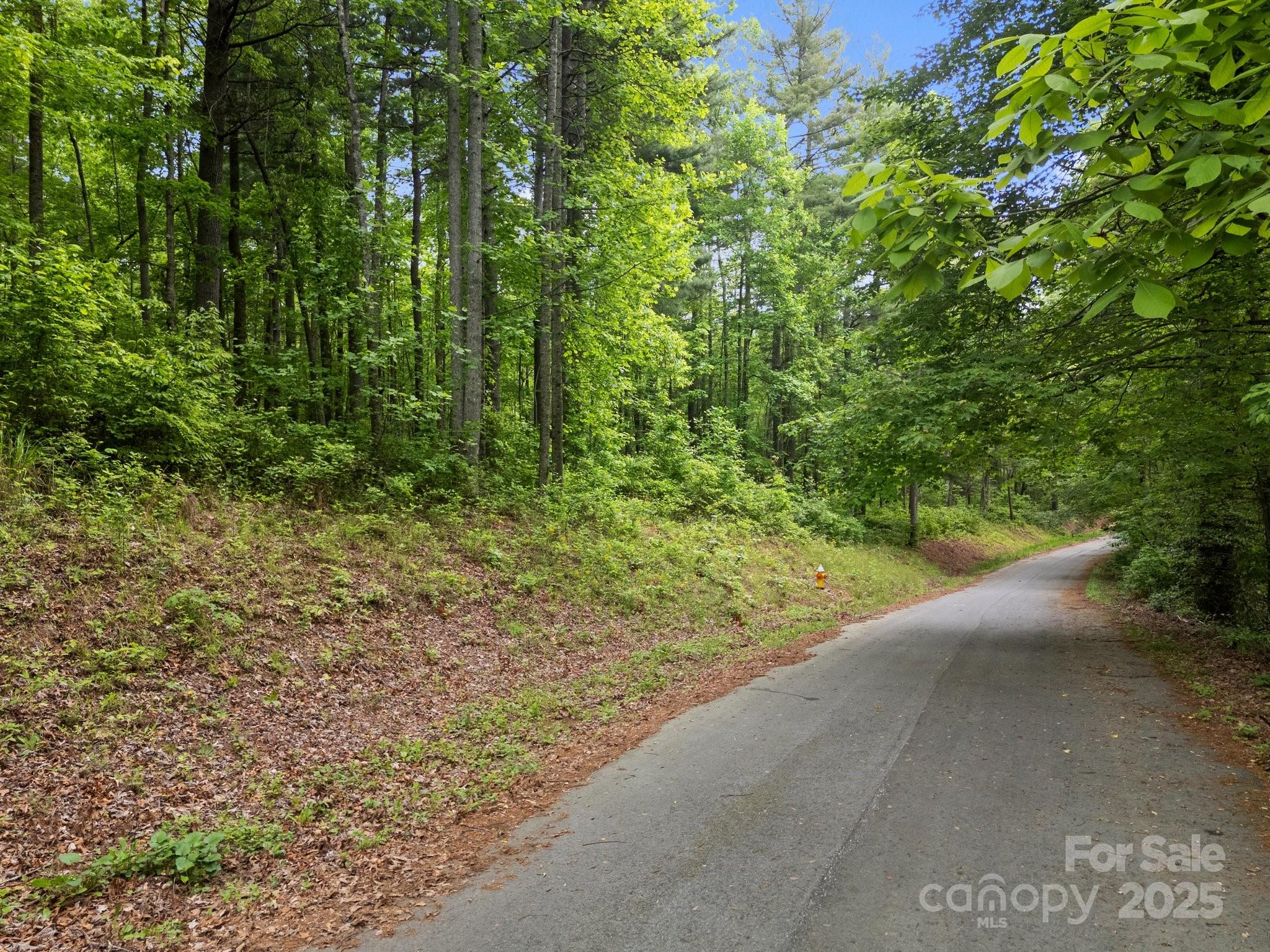 349 Red Fox Lane Property Photo 23