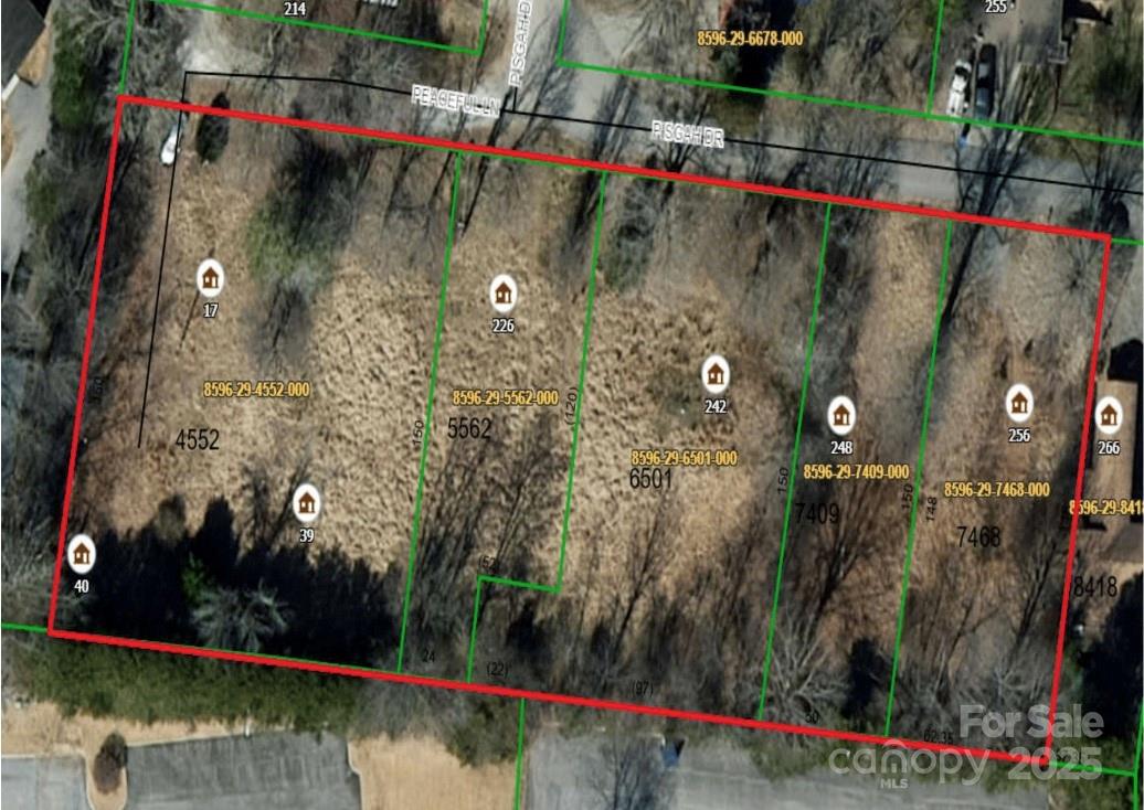 226 Pisgah Drive Property Photo 1