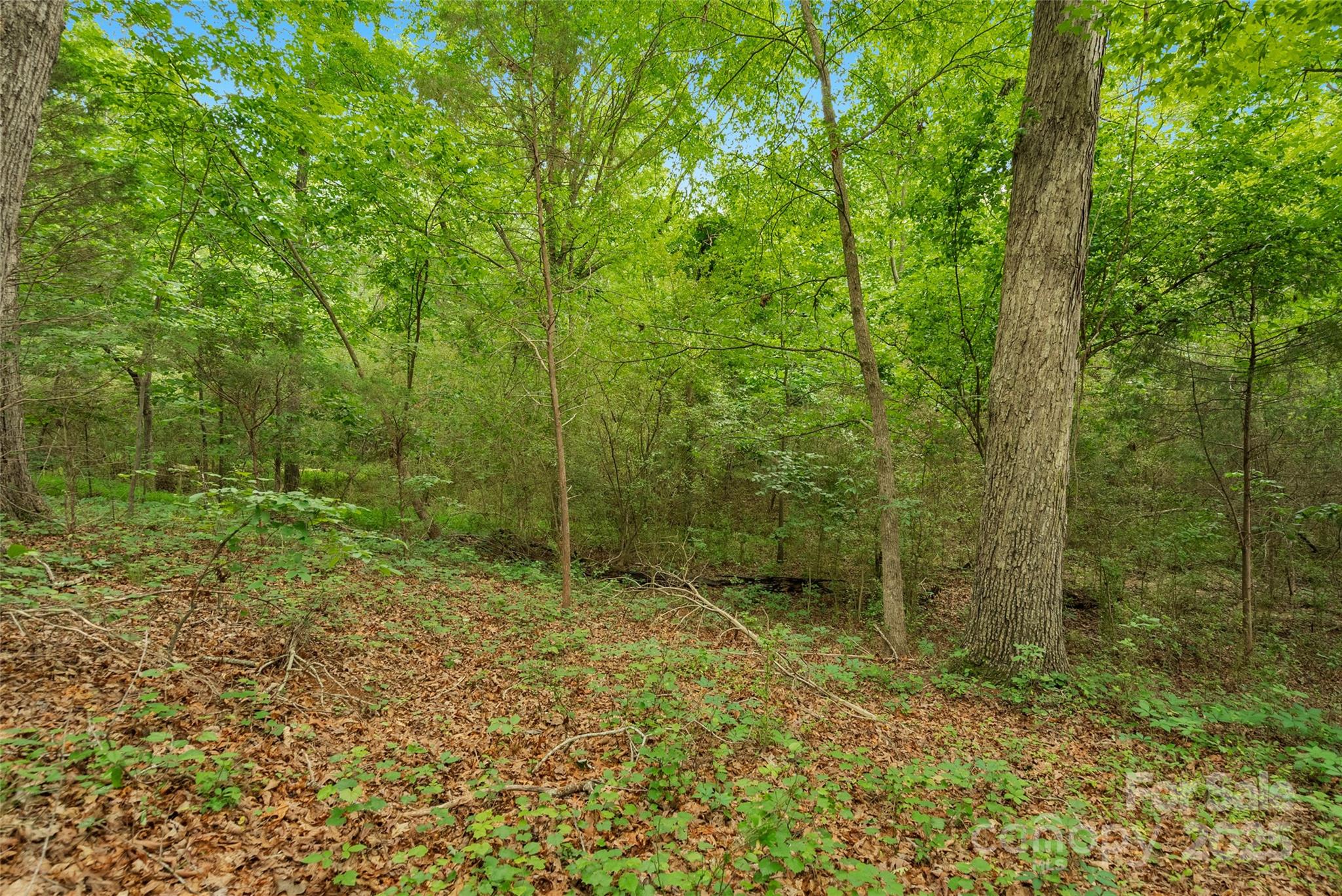 0000 Lucy Short Cut Road 1 Property Photo 11