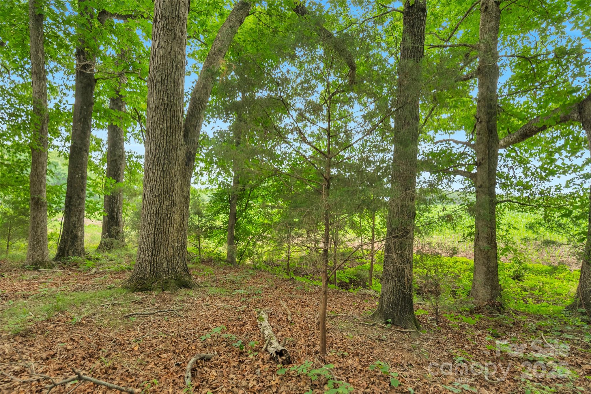 0000 Lucy Short Cut Road 1 Property Photo 15