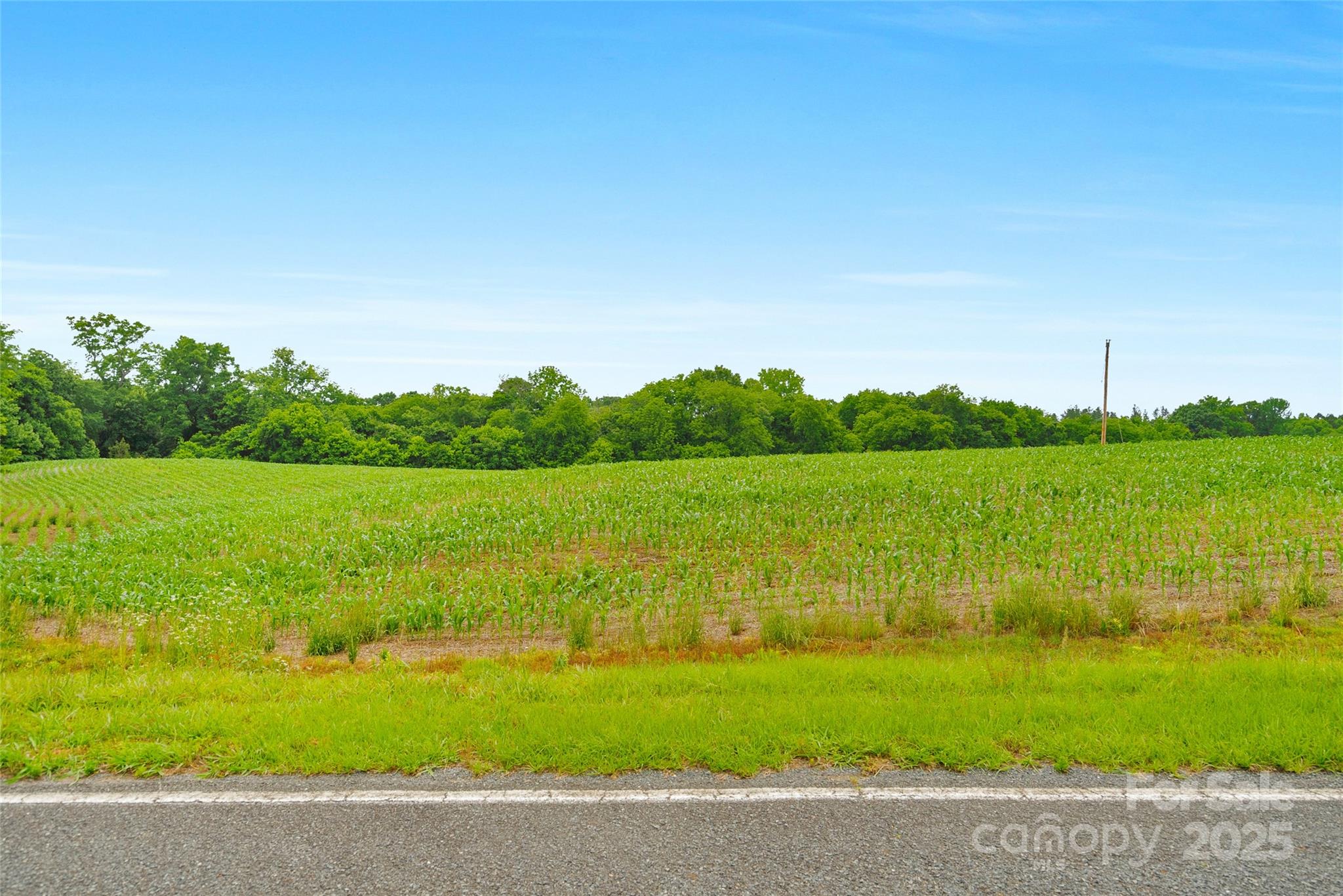 0000 Lucy Short Cut Road 1 Property Photo 16