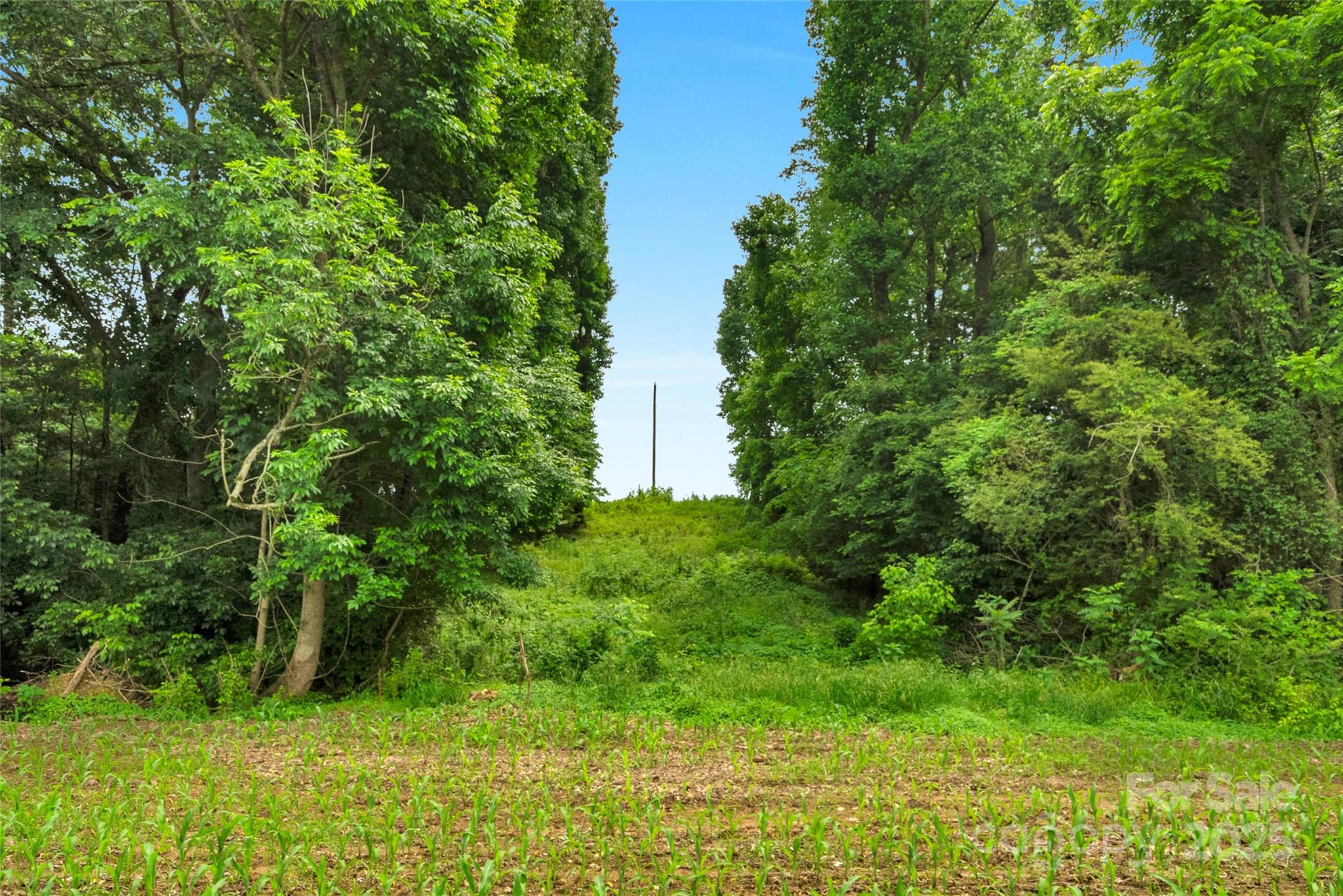 0000 Lucy Short Cut Road 1 Property Photo 38