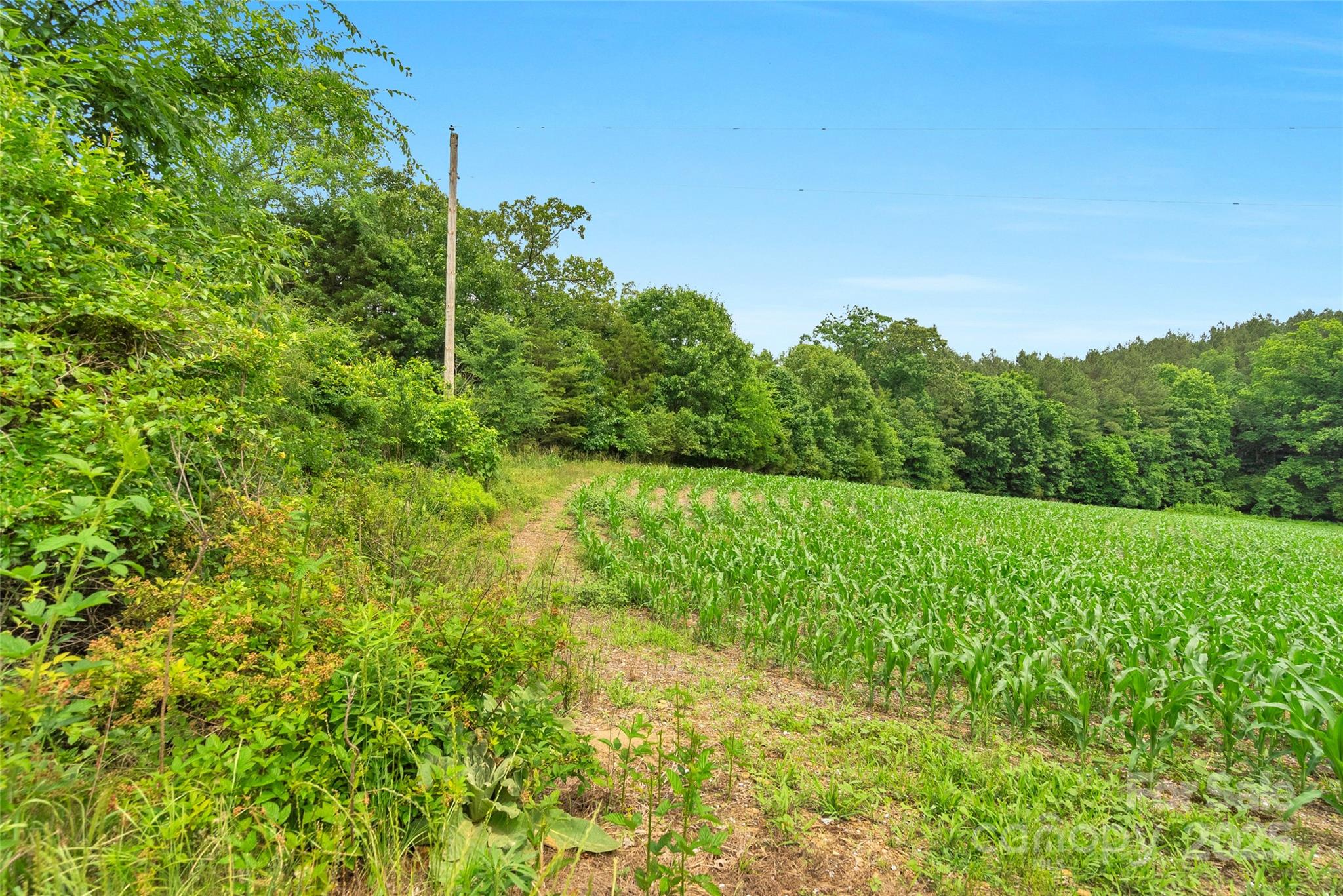 0000 Lucy Short Cut Road 4 Property Photo 10