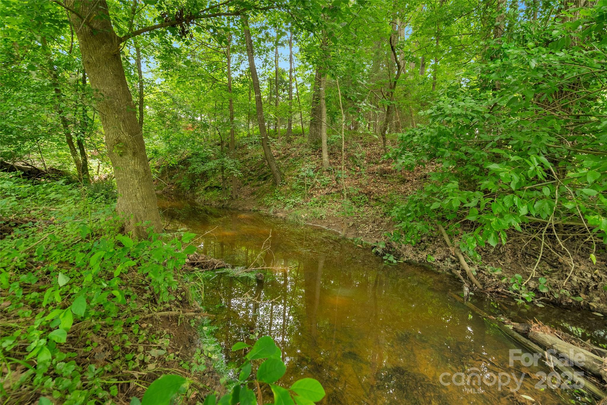 0000 Lucy Short Cut Road 4 Property Photo 13