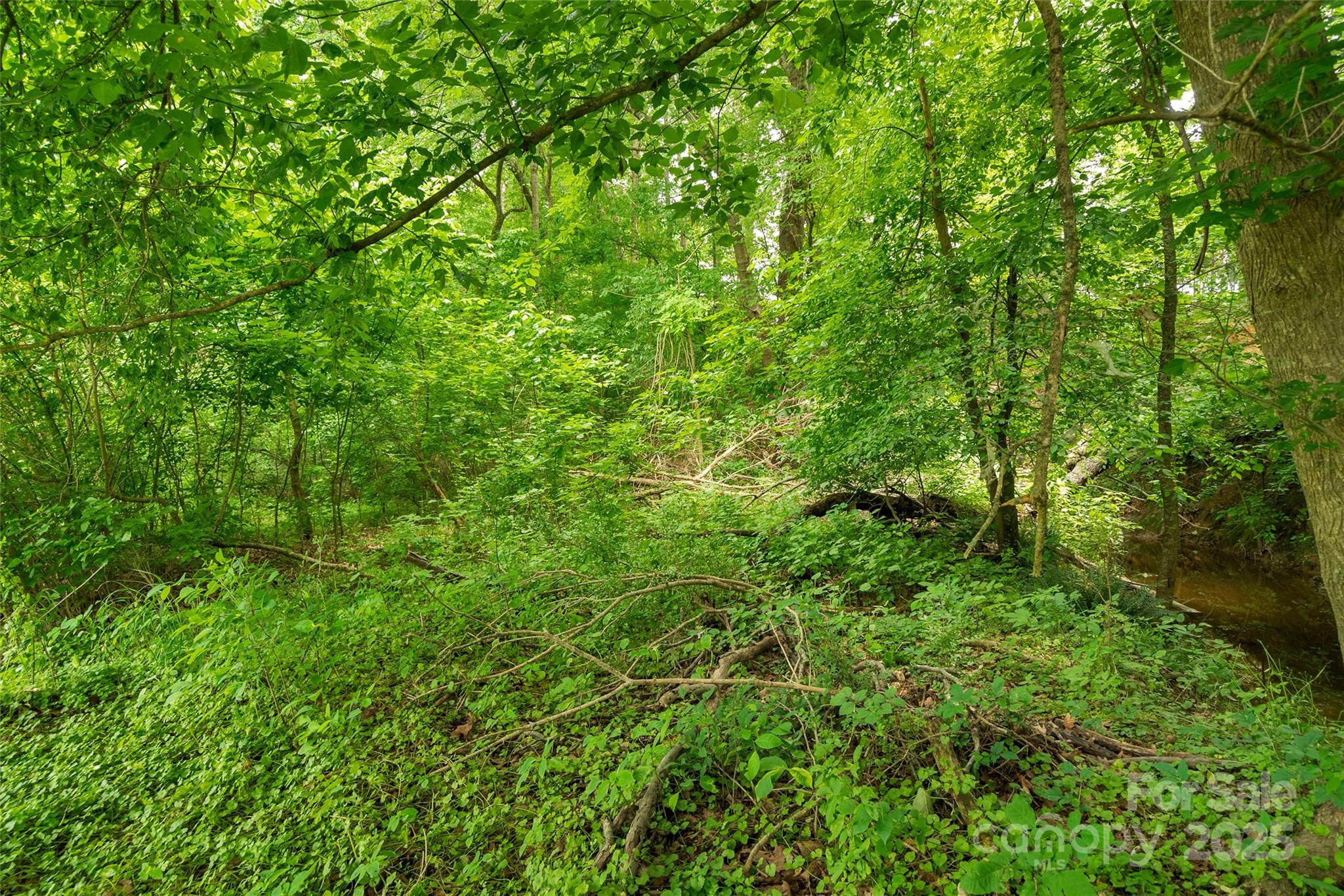 0000 Lucy Short Cut Road 4 Property Photo 14