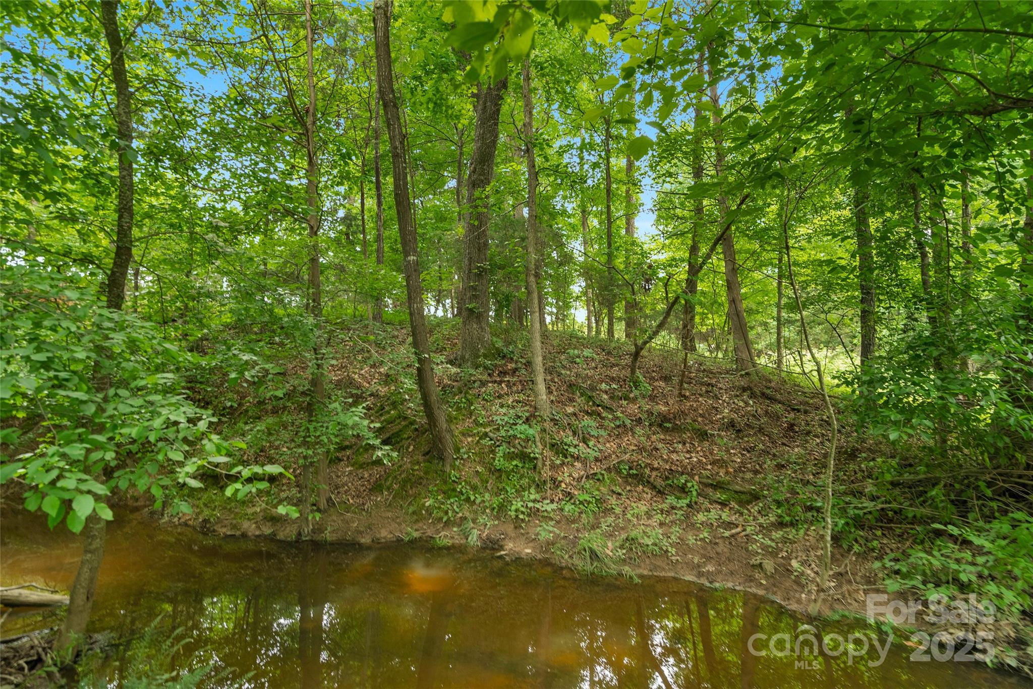 0000 Lucy Short Cut Road 4 Property Photo 16