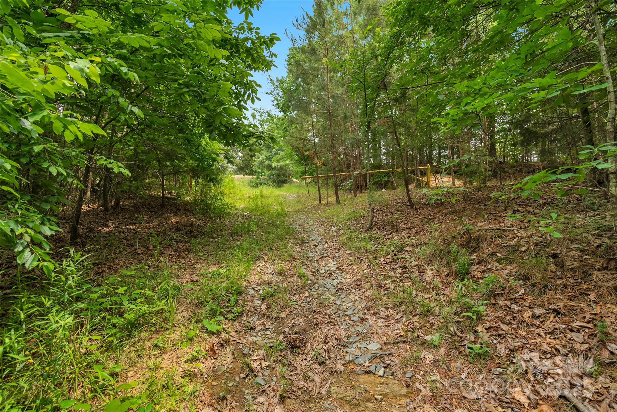 0000 Lucy Short Cut Road 4 Property Photo 20
