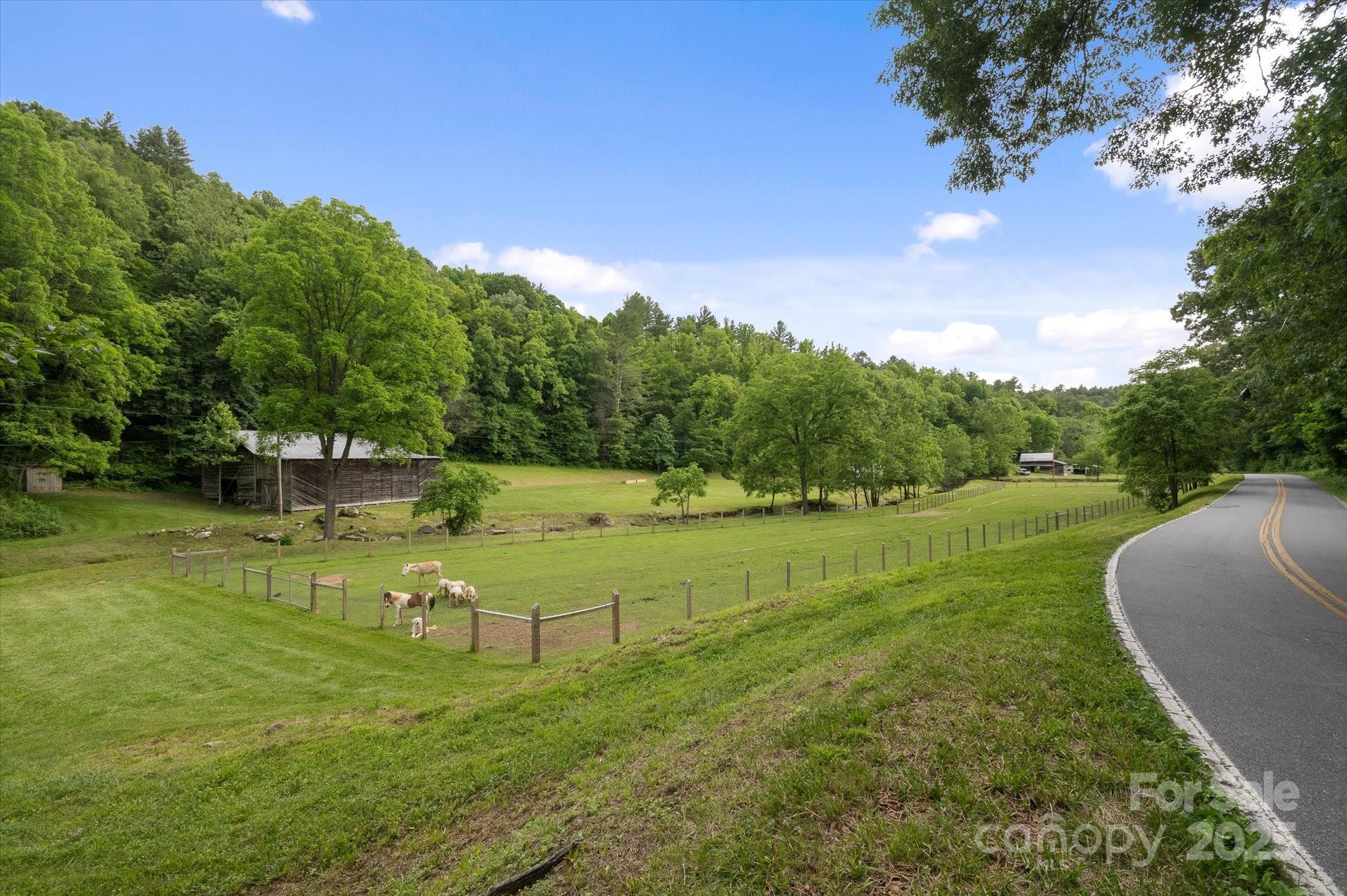 942 Paint Fork Road Property Photo 4