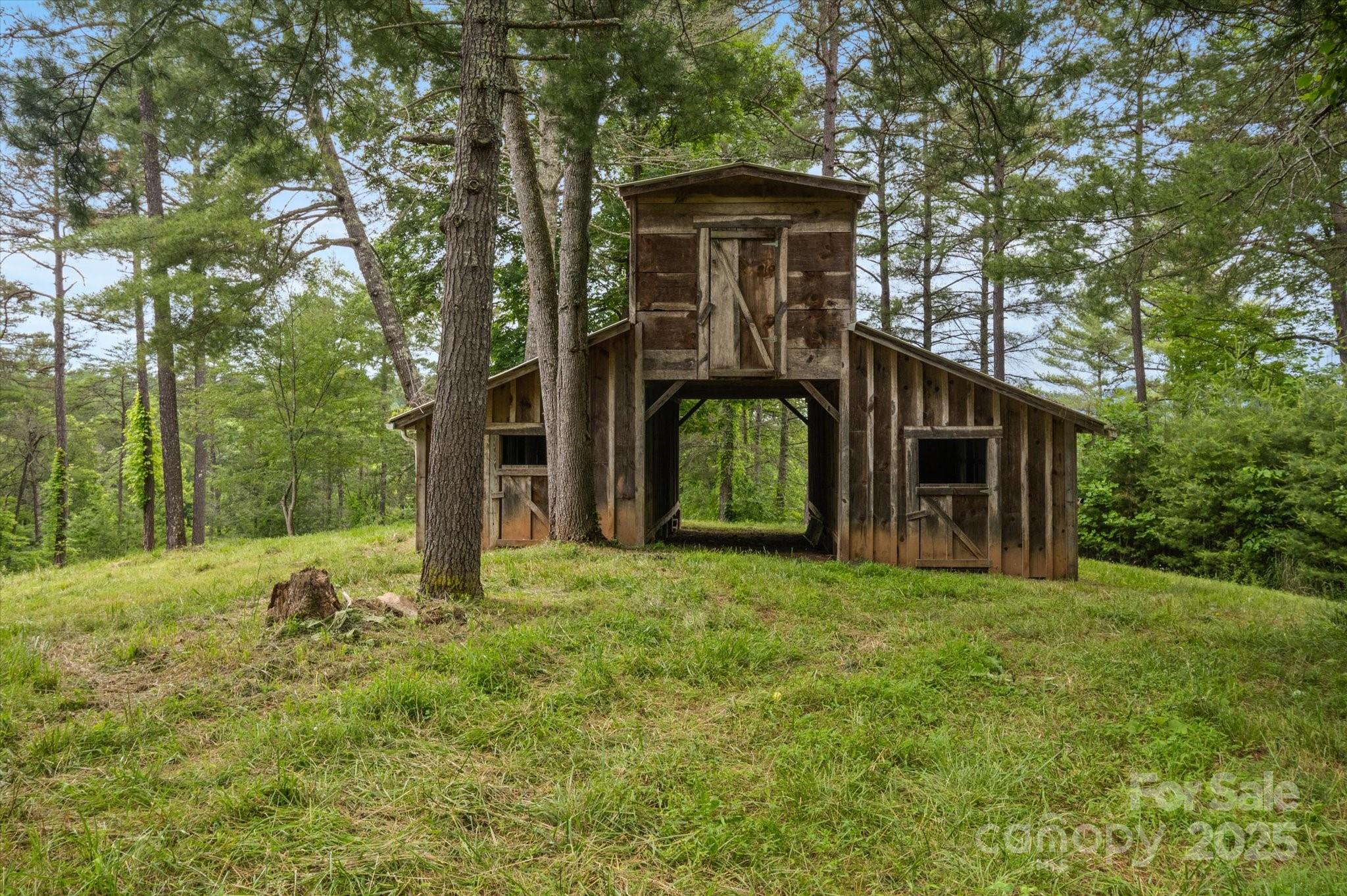 942 Paint Fork Road Property Photo 5