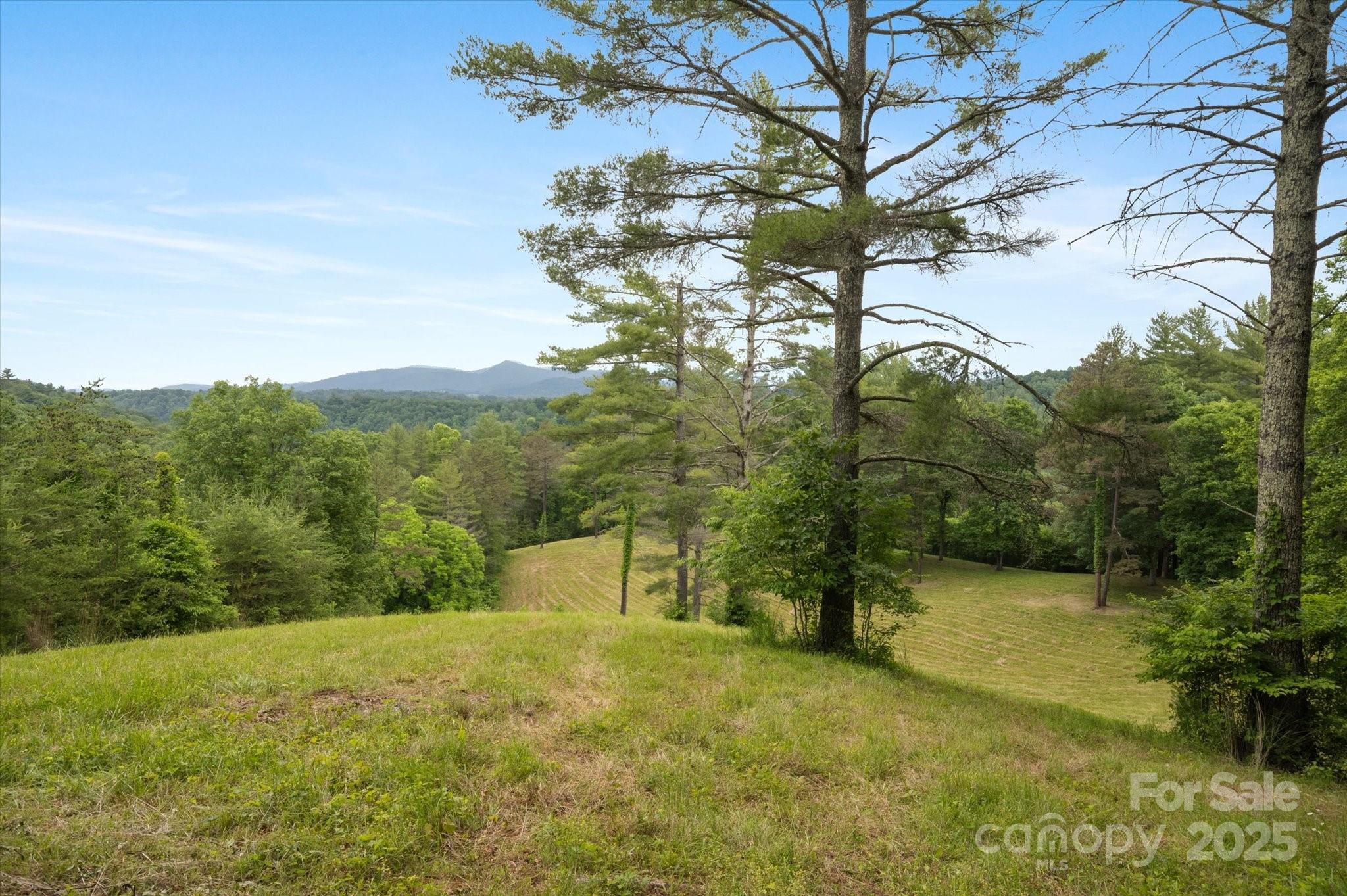 942 Paint Fork Road Property Photo 26