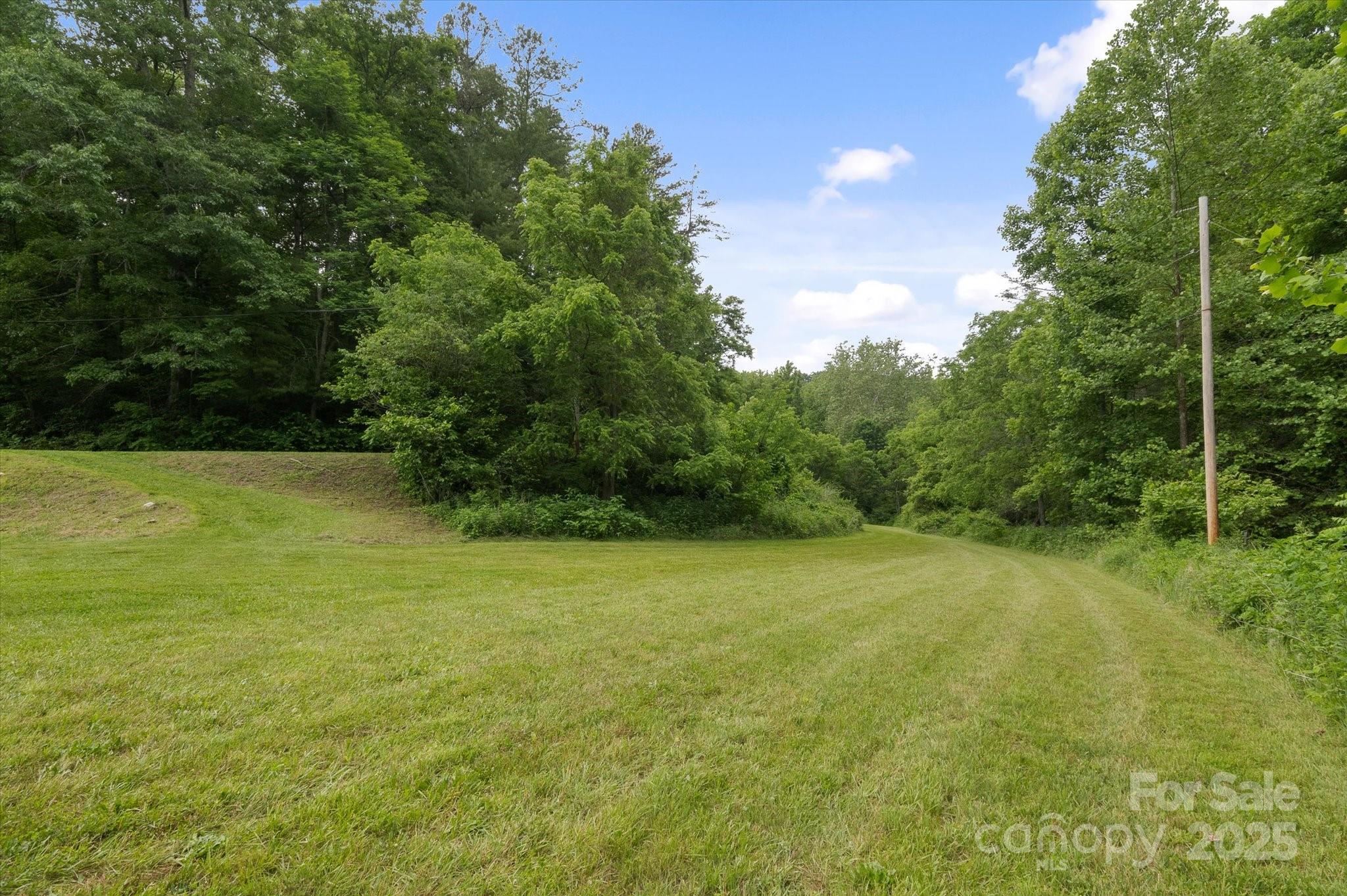942 Paint Fork Road Property Photo 28