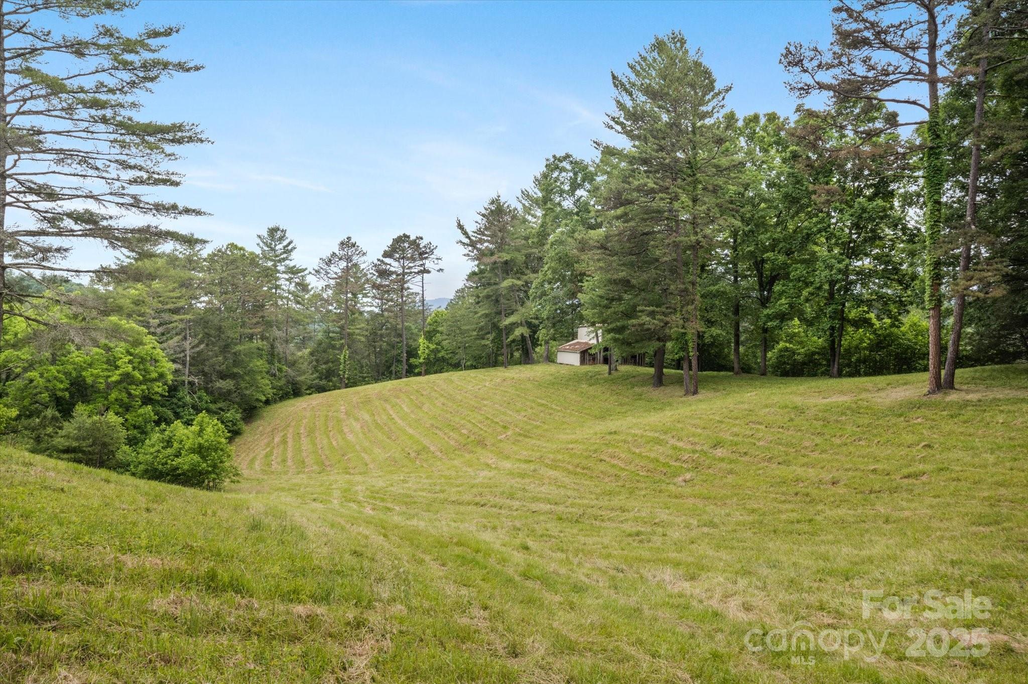 942 Paint Fork Road Property Photo 29