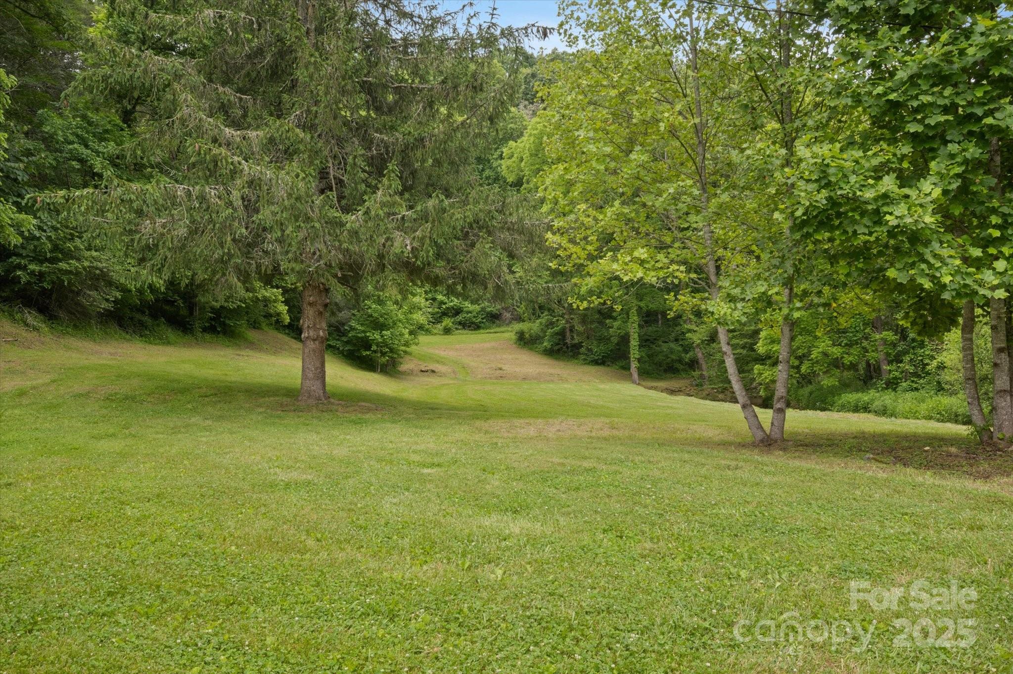 942 Paint Fork Road Property Photo 33