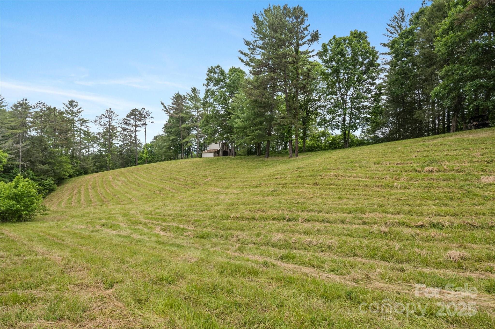 942 Paint Fork Road Property Photo 35