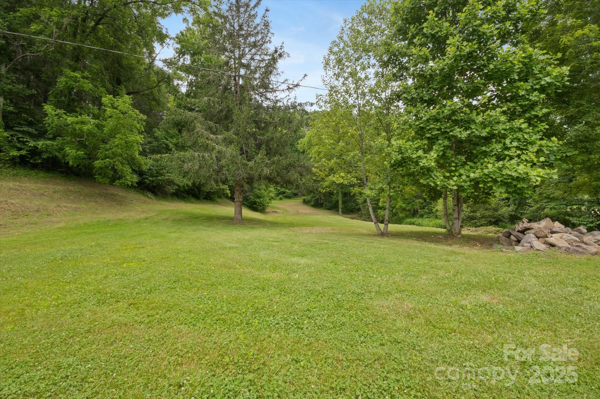 942 Paint Fork Road Property Photo 39
