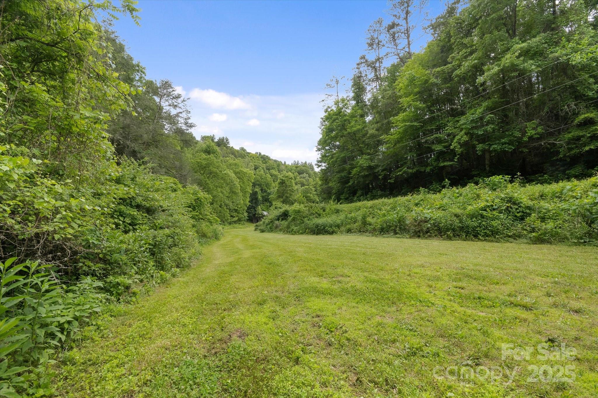942 Paint Fork Road Property Photo 41