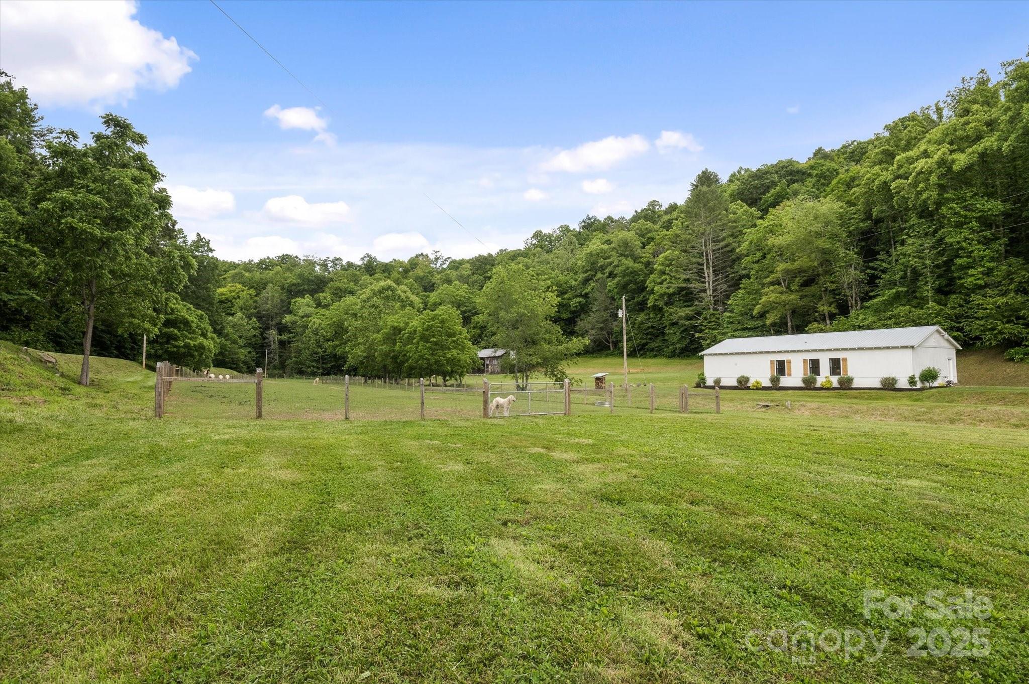 942 Paint Fork Road Property Photo 42