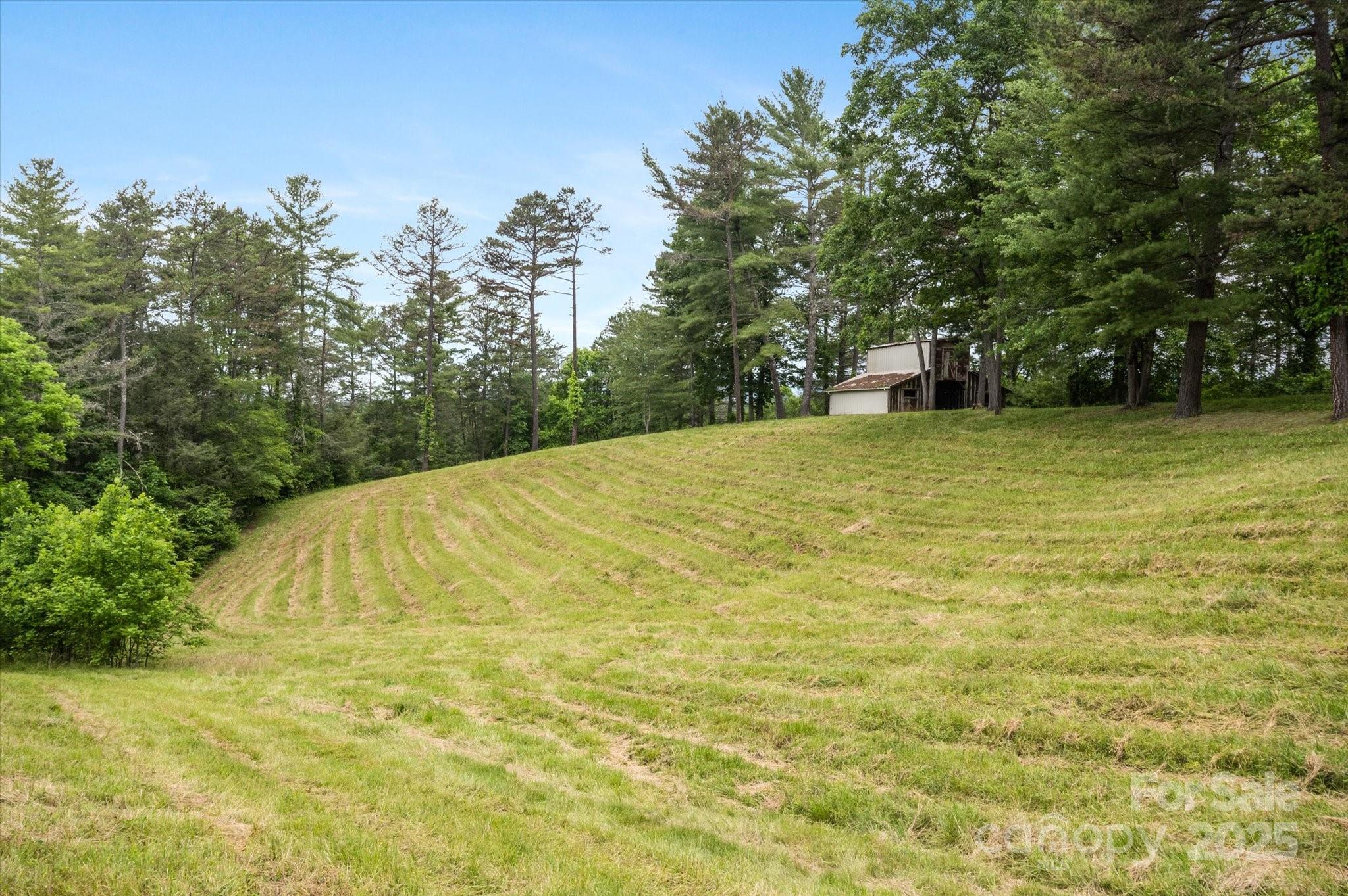 942 Paint Fork Road Property Photo 43