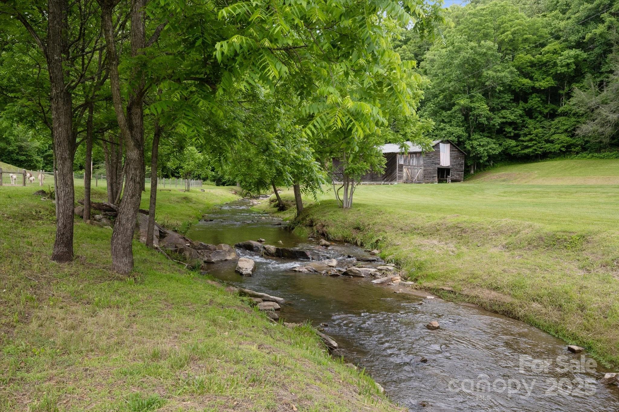 942 Paint Fork Road Property Photo 44