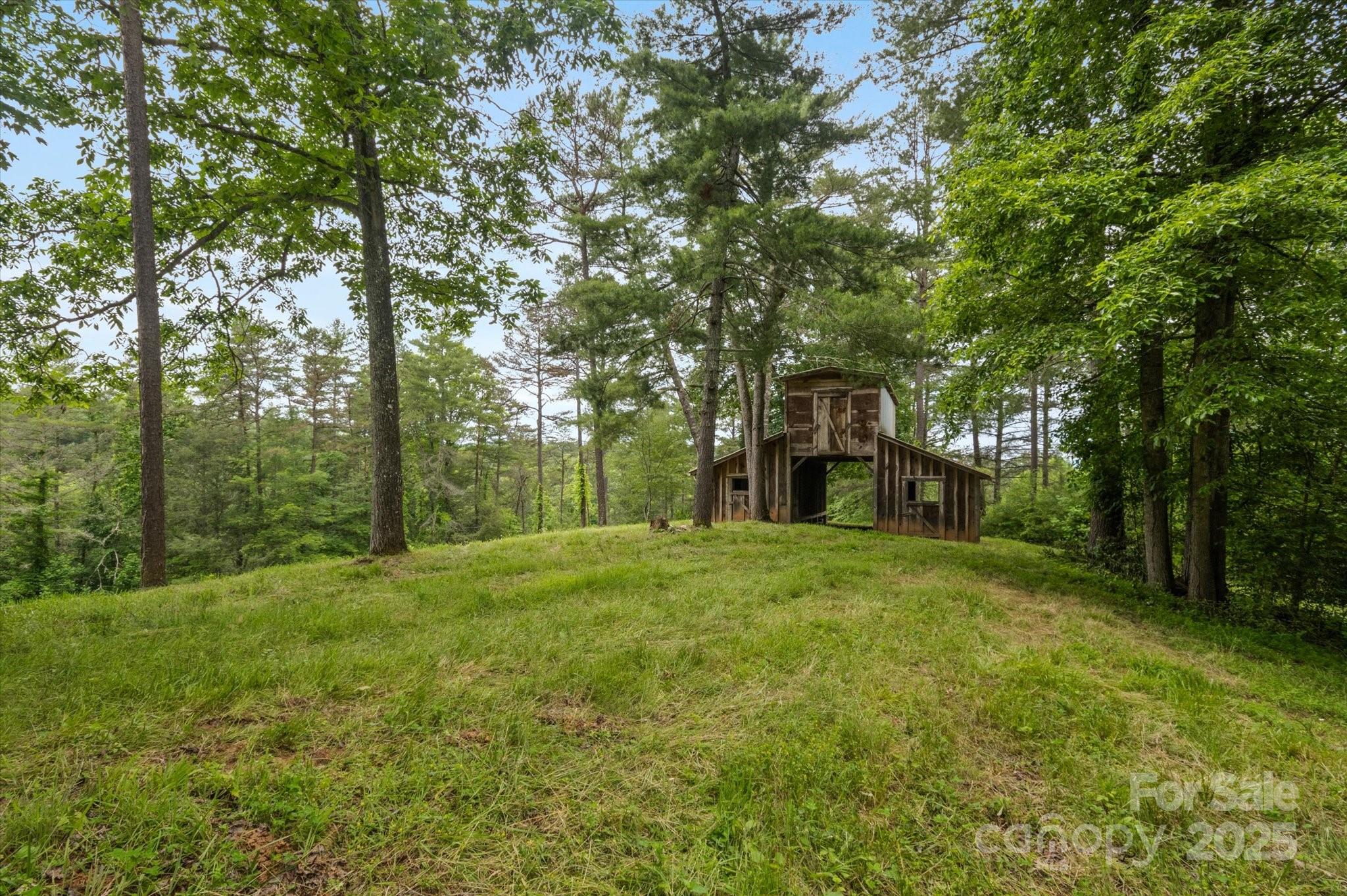 942 Paint Fork Road Property Photo 48