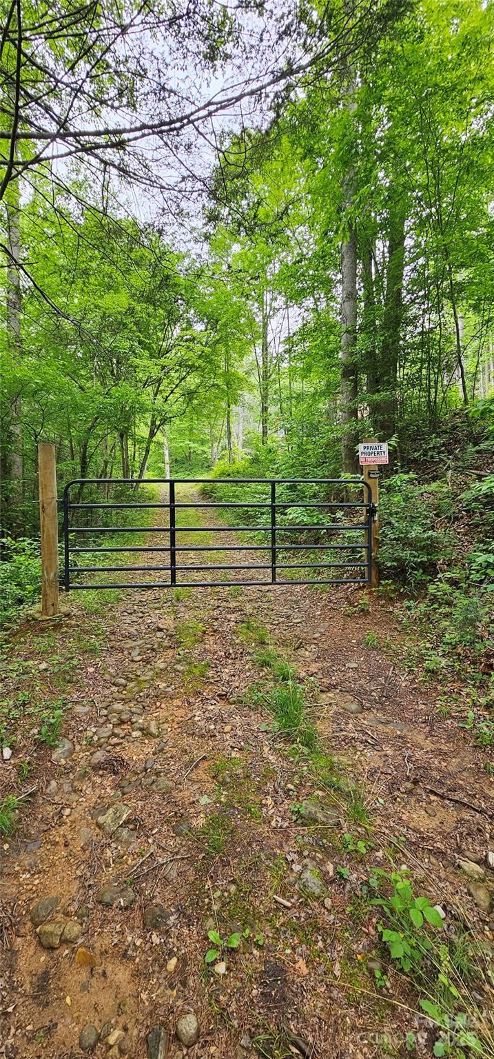 3034 Bruce Haas Lane Property Photo 11