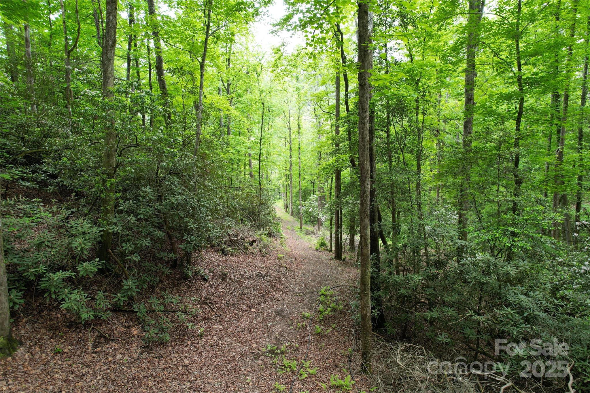 3034 Bruce Haas Lane Property Photo 29