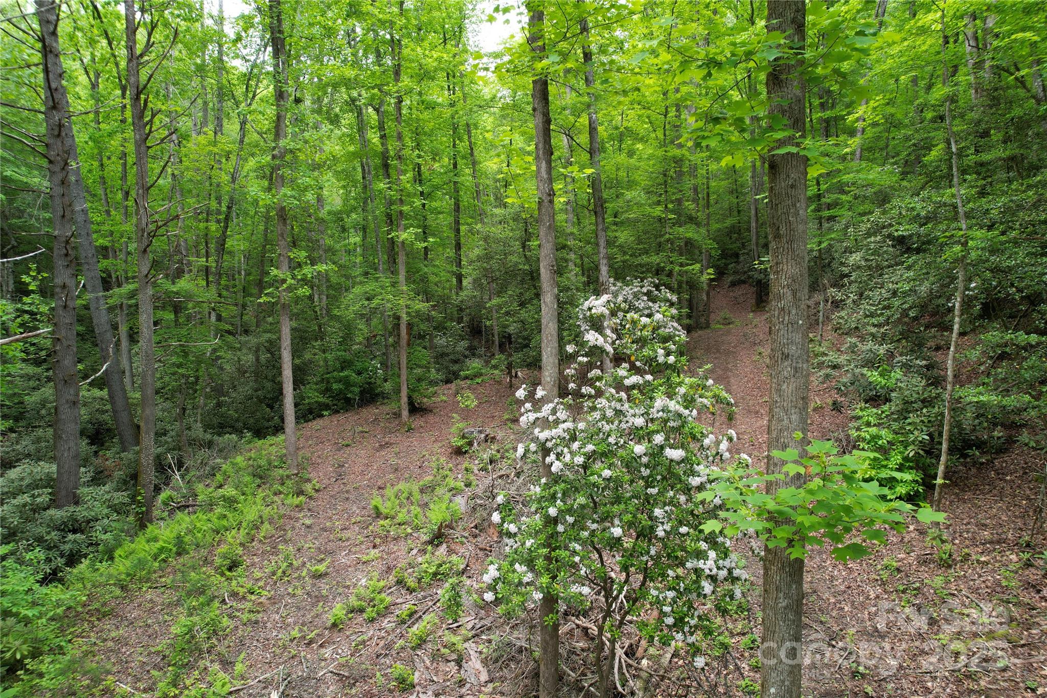 3034 Bruce Haas Lane Property Photo 31