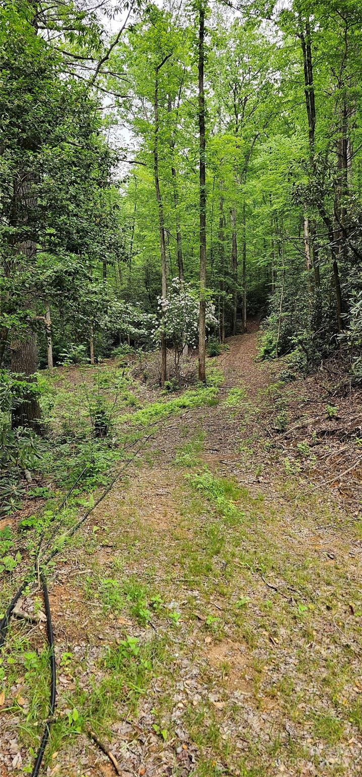 3034 Bruce Haas Lane Property Photo 33