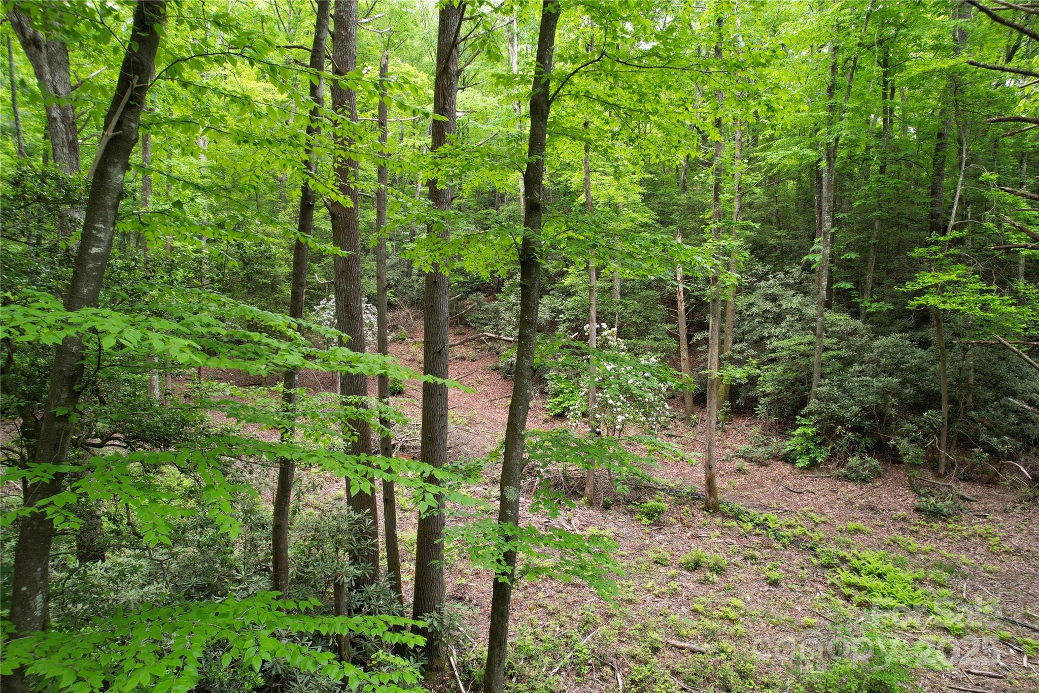 3034 Bruce Haas Lane Property Photo 34