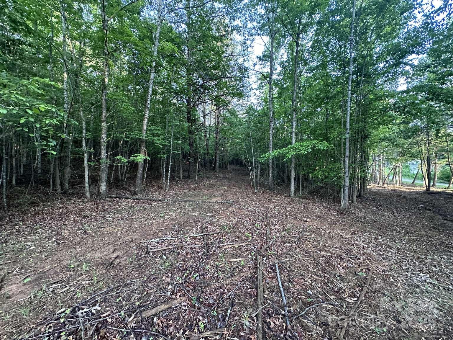 2320 Howard Arnett Road Property Photo 4