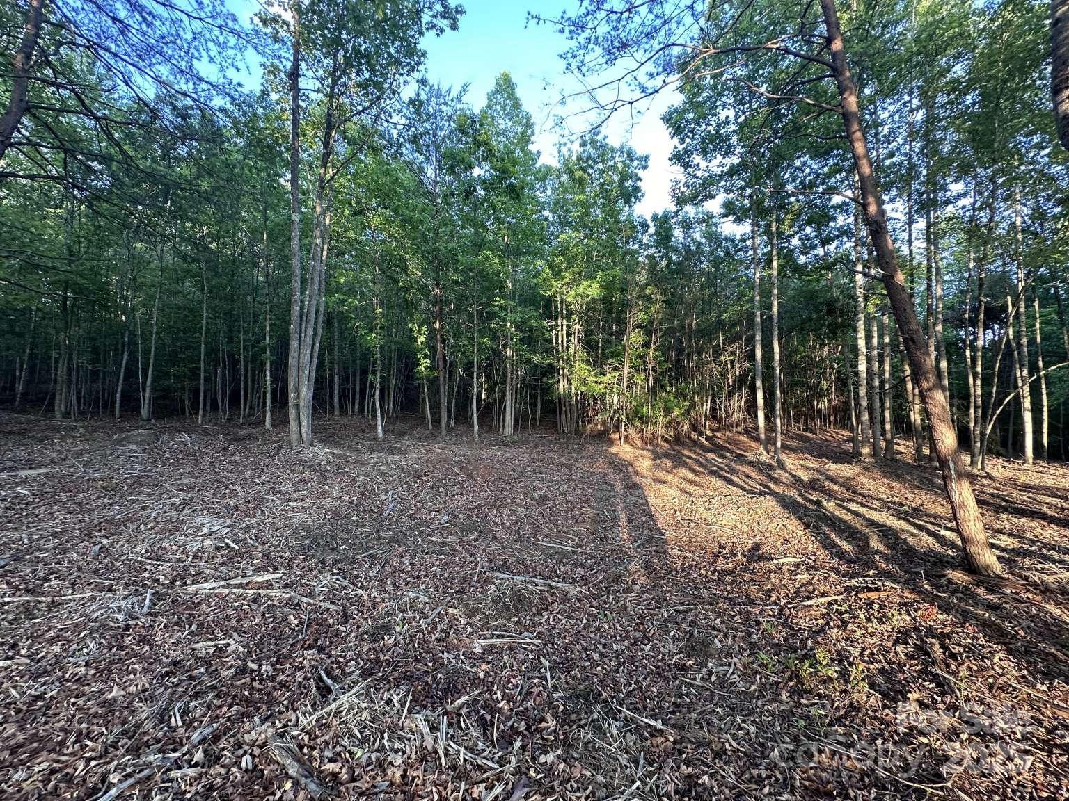 2320 Howard Arnett Road Property Photo 9