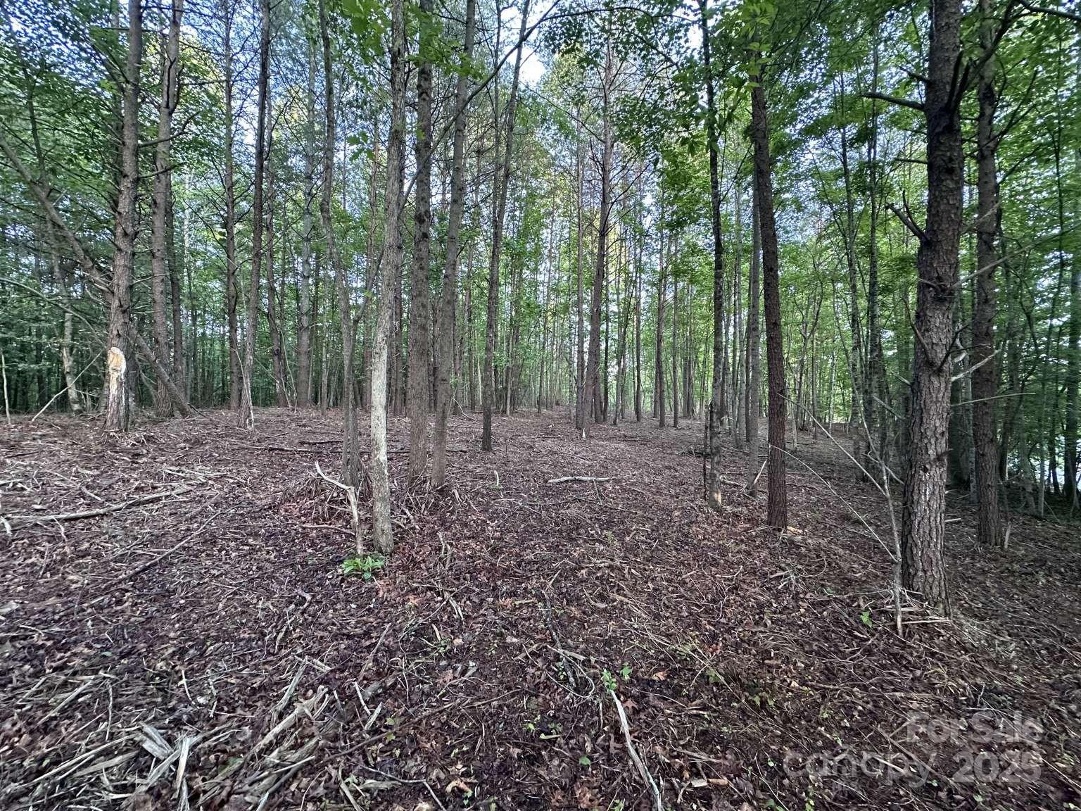 2320 Howard Arnett Road Property Photo 10